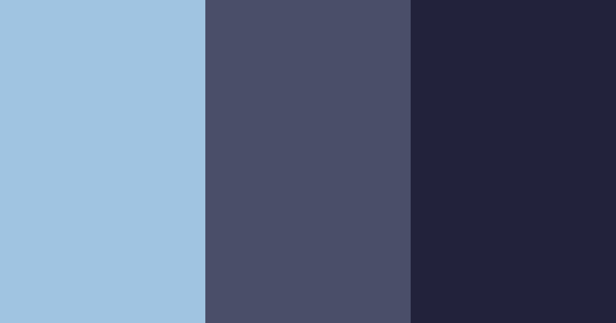 Download light blue and dark black color palette PNG image (landscape)