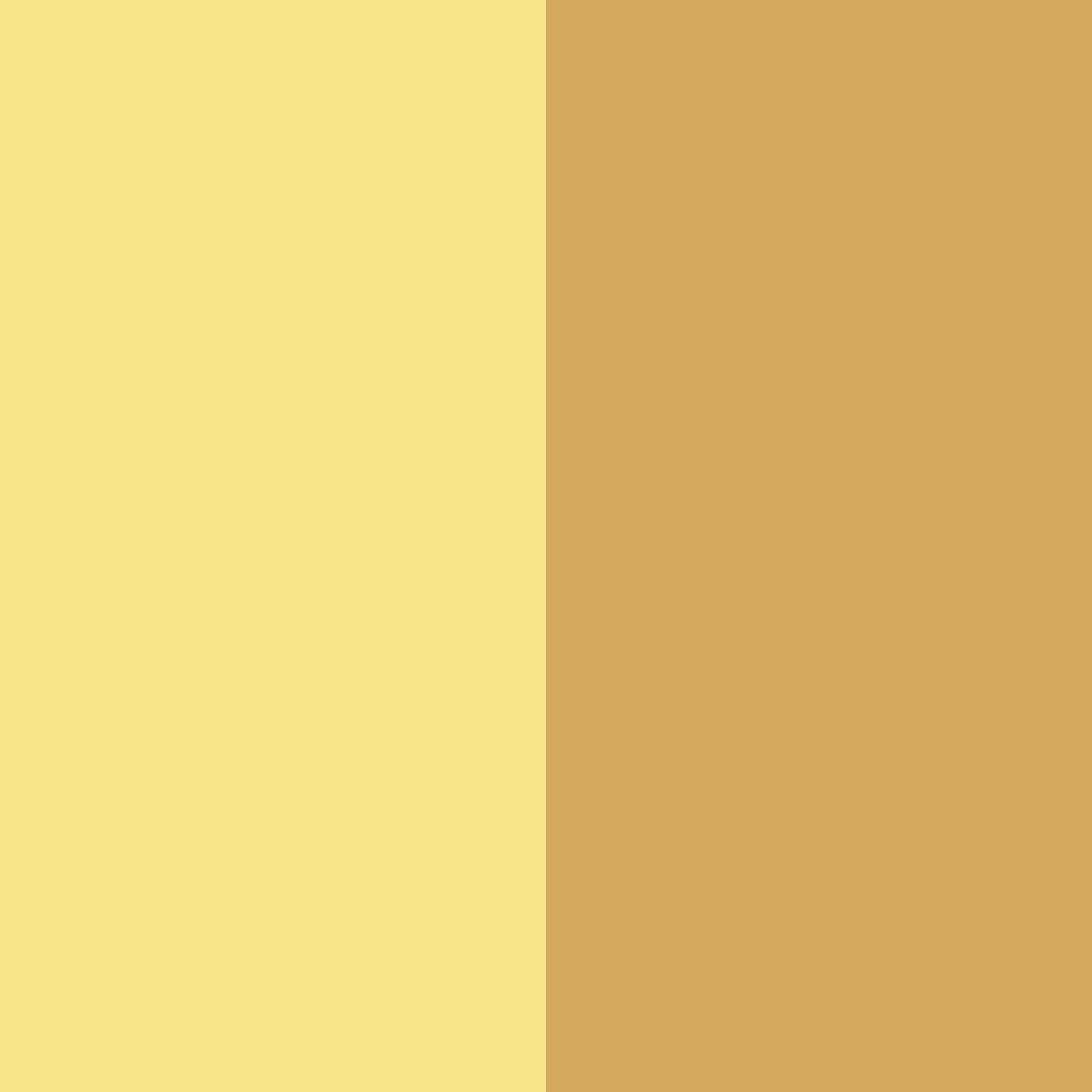 Download sunlit harvest color palette PNG image (square)