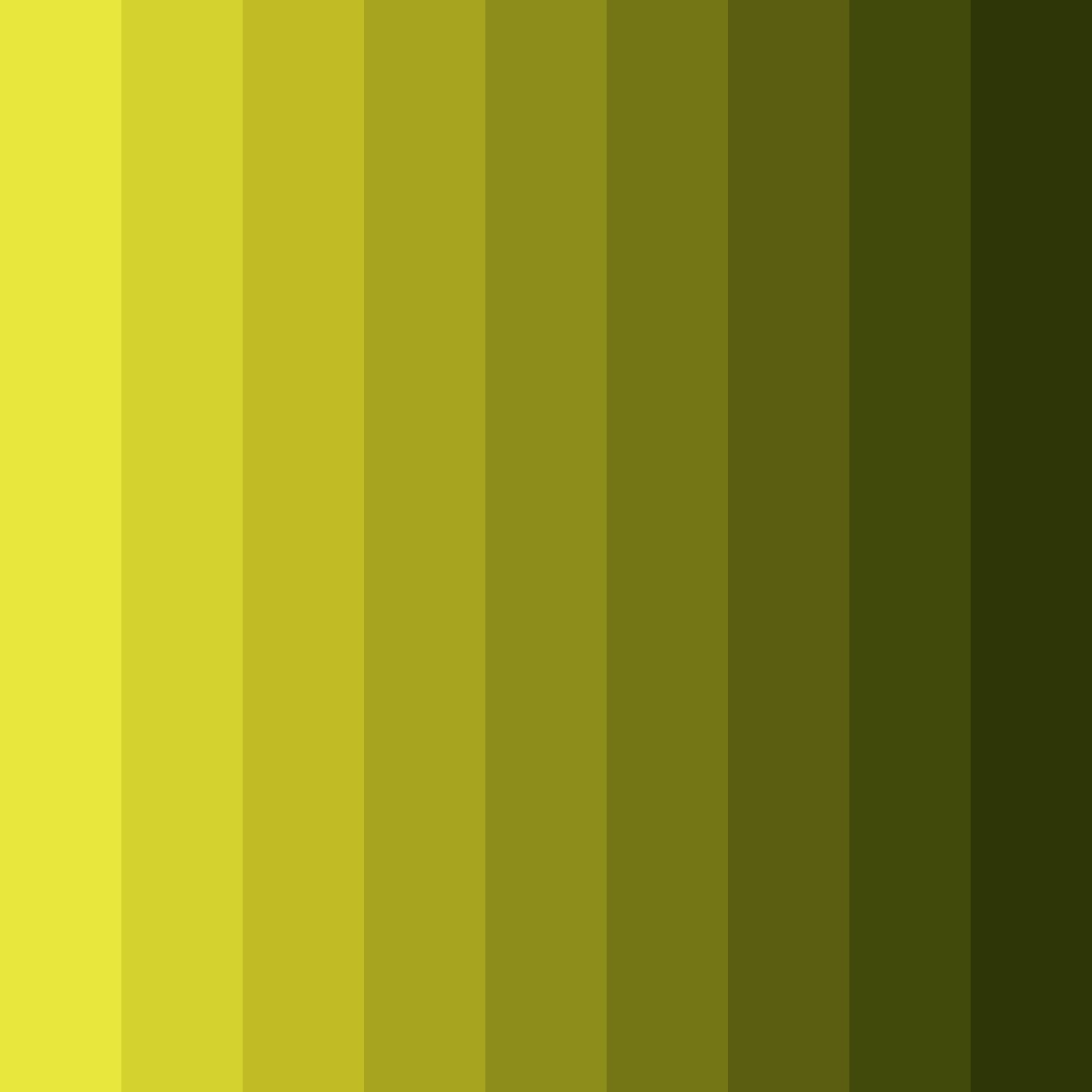 Download sunlit olive grove color palette PNG image (square)