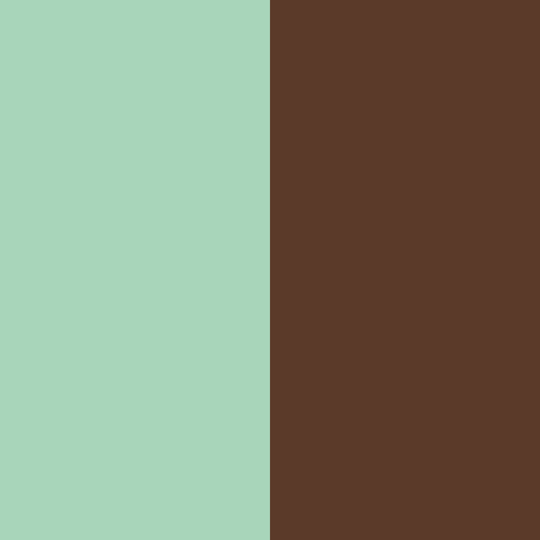 Download forest harmony color palette PNG image (square)