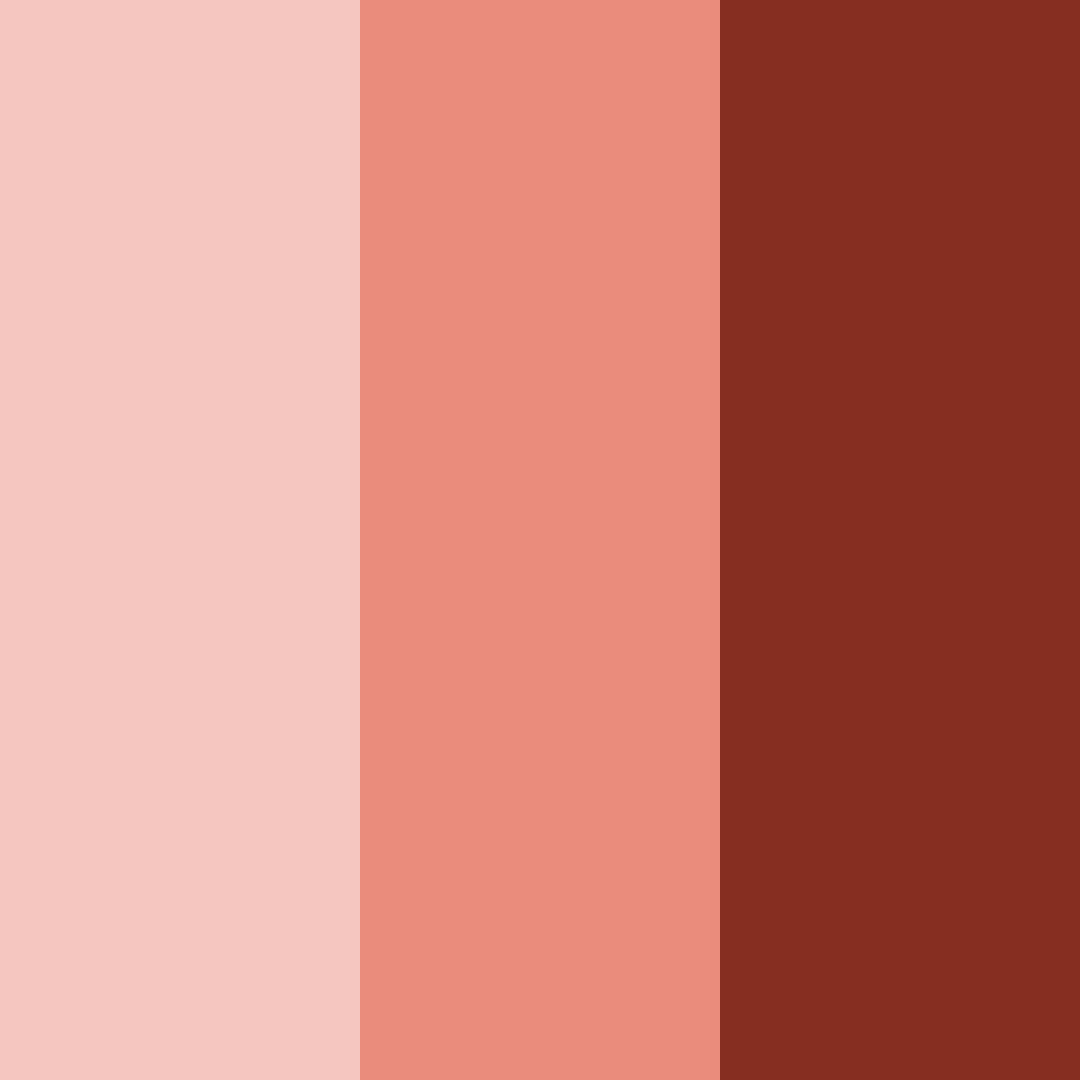 Download cinnamon rosewood color palette PNG image (square)