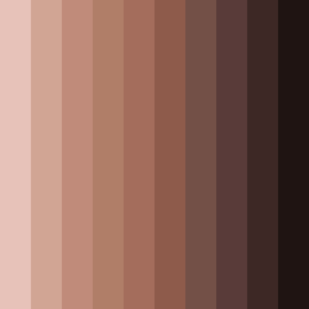 Download earthy brown color palette PNG image (square)