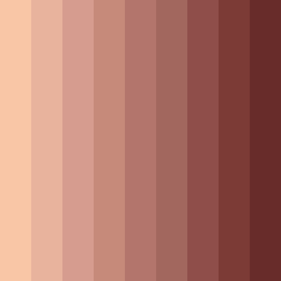 Download terracotta shades color palette PNG image (square)