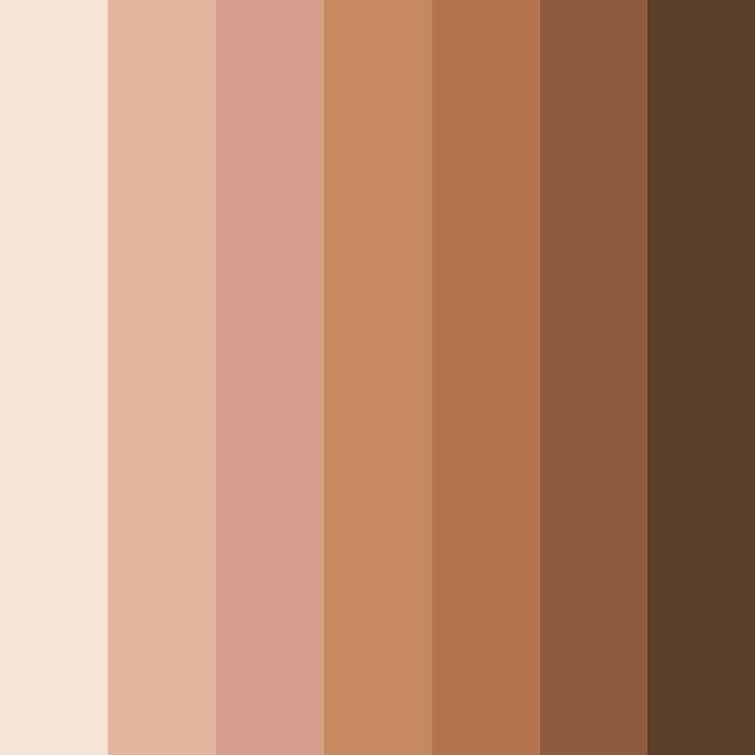 Download earthy brown color palette PNG image (square)
