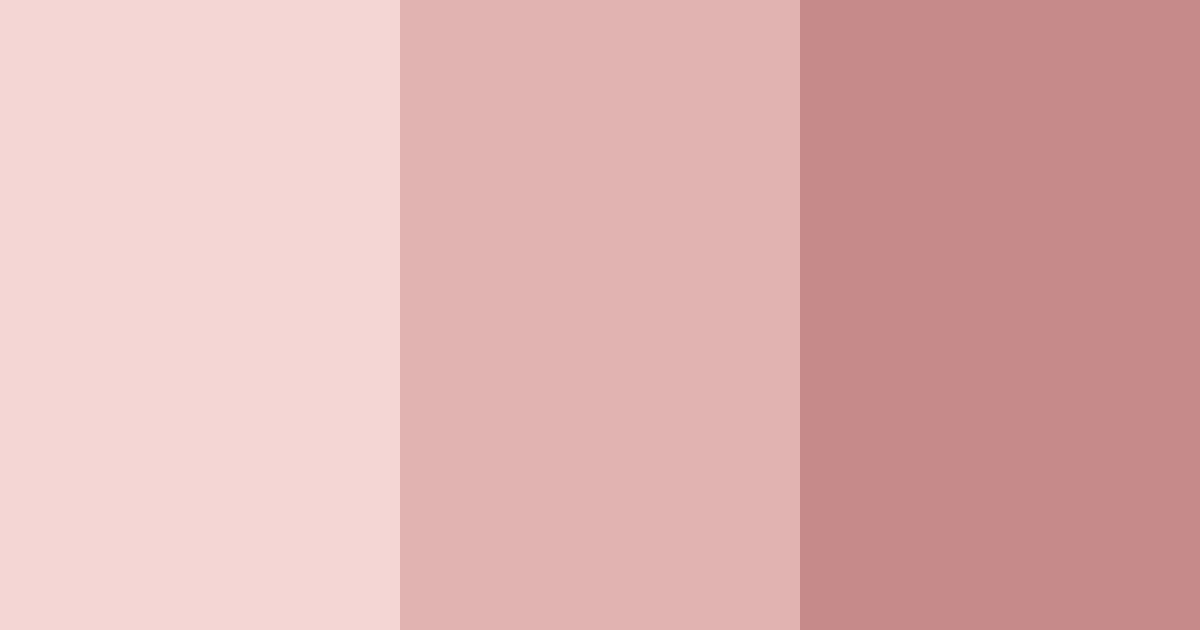 Download light pink color palette PNG image (landscape)