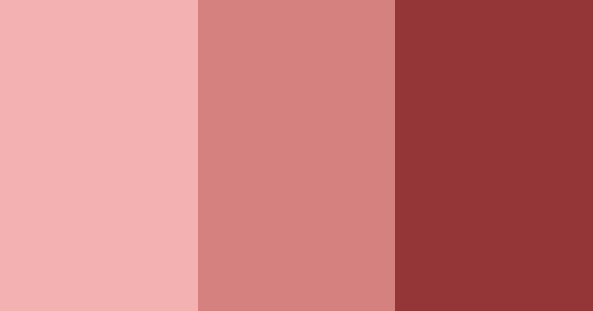 Download red shades color palette PNG image (landscape)