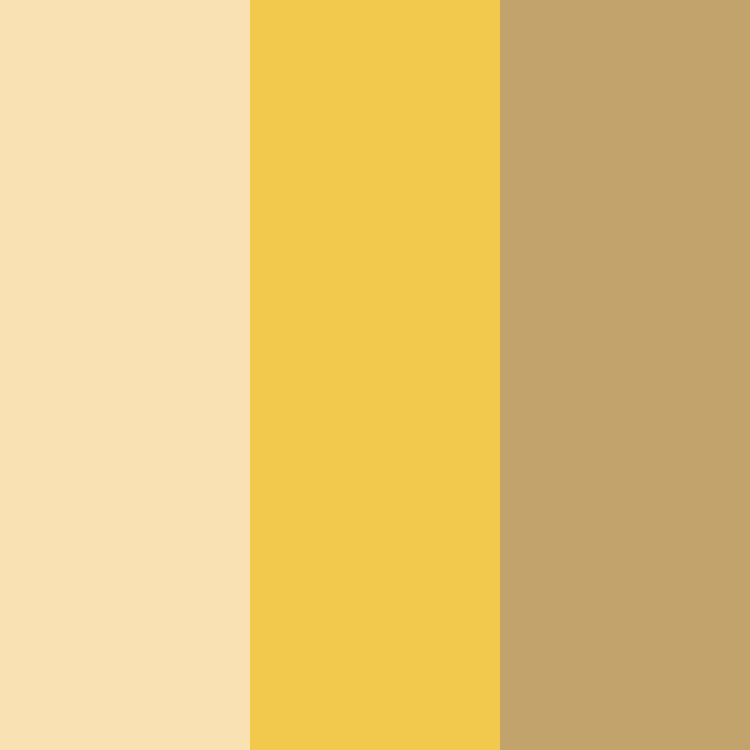 Download cheesy toast serenade color palette PNG image (square)