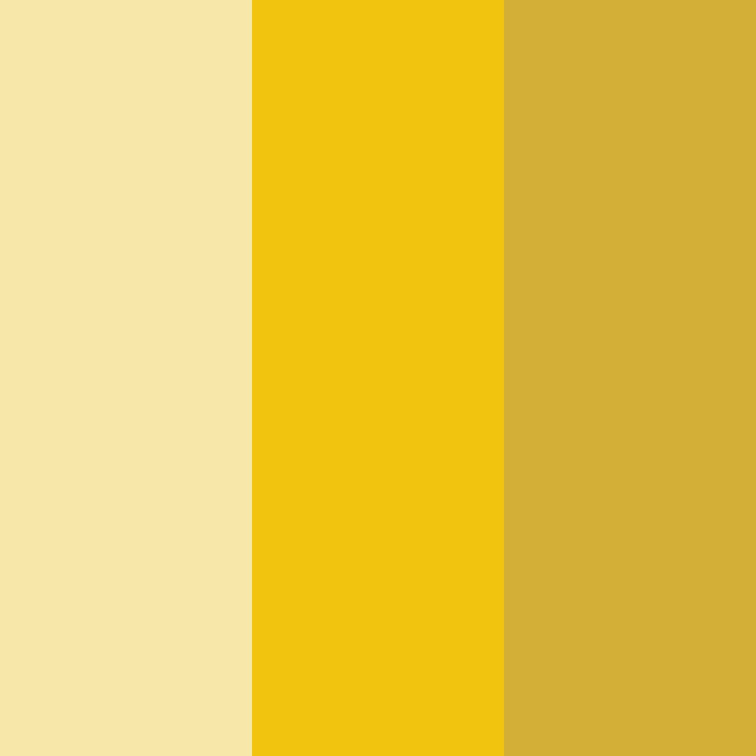 Download golden reverie color palette PNG image (square)