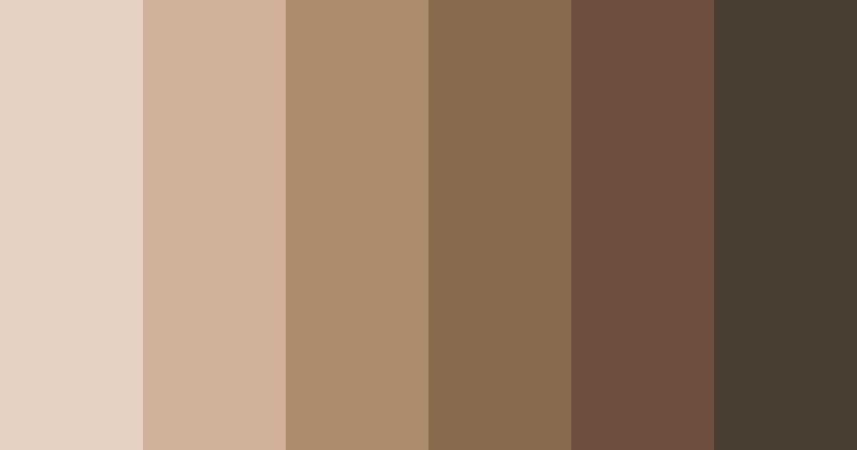 Download coffeehouse comfort color palette PNG image (landscape)