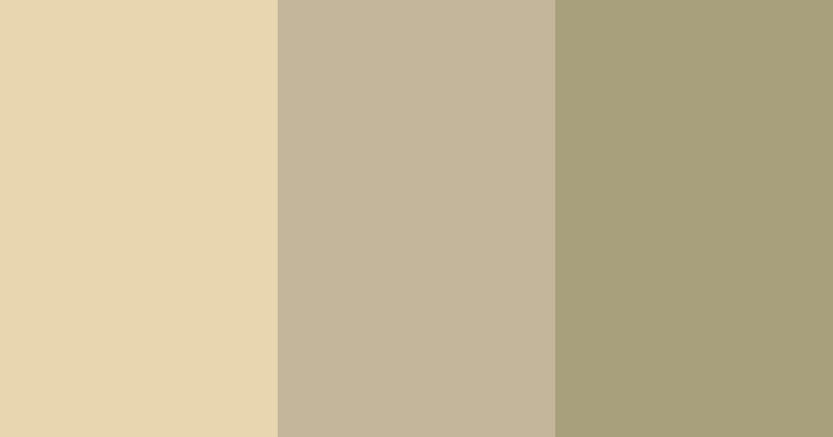Download khaki beige shades color palette PNG image (landscape)