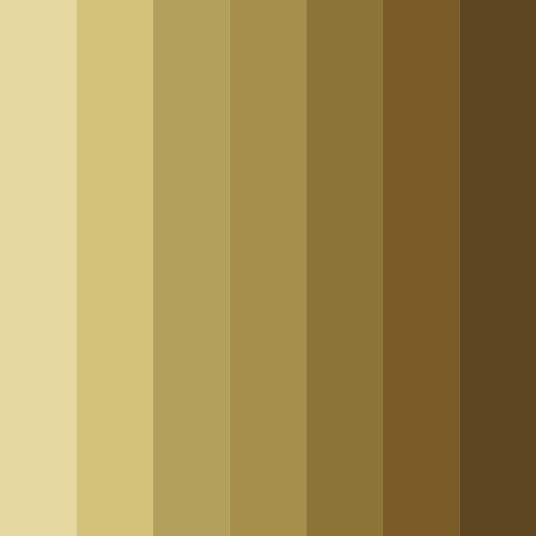 Download khaki brown shades color palette PNG image (square)
