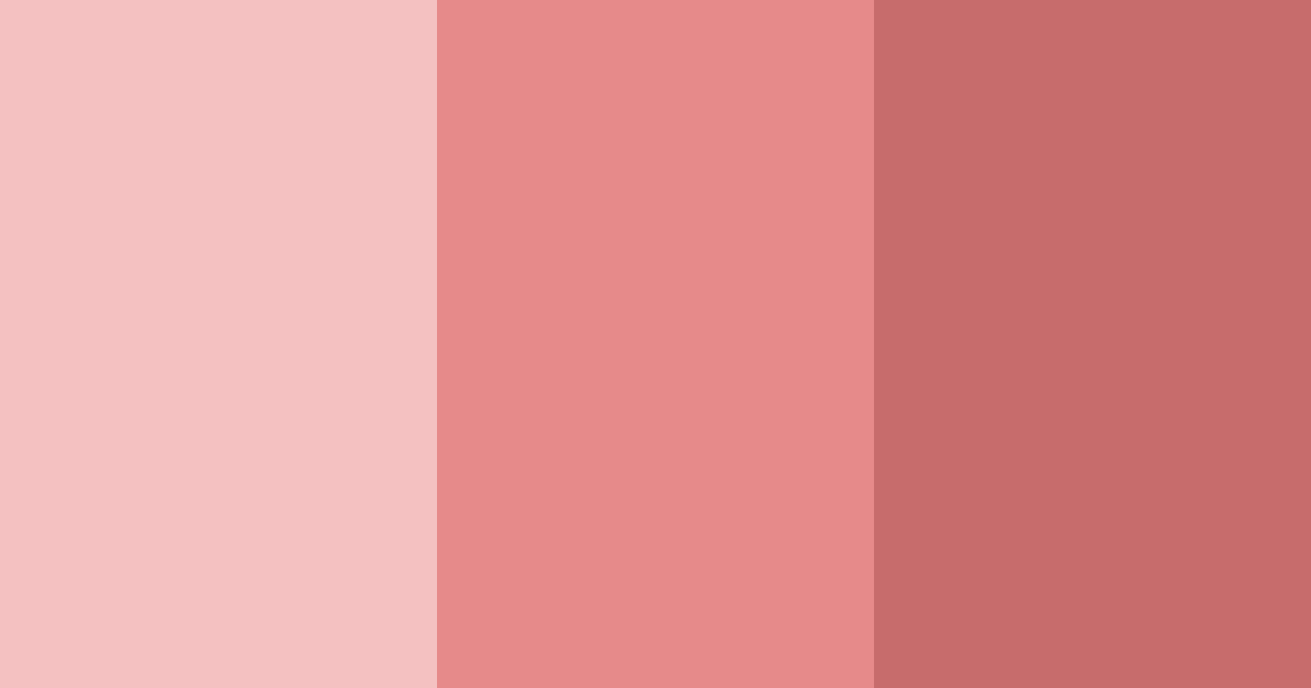 Download blushing rosewood color palette PNG image (landscape)