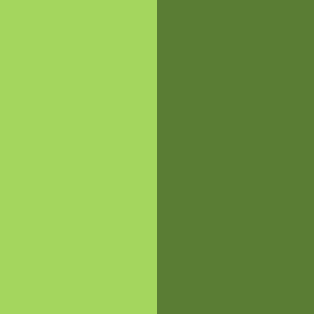 Download jurassic jungle color palette PNG image (square)