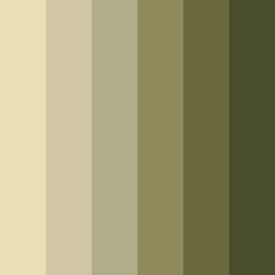 Download olive cream shades color palette PNG image (square)