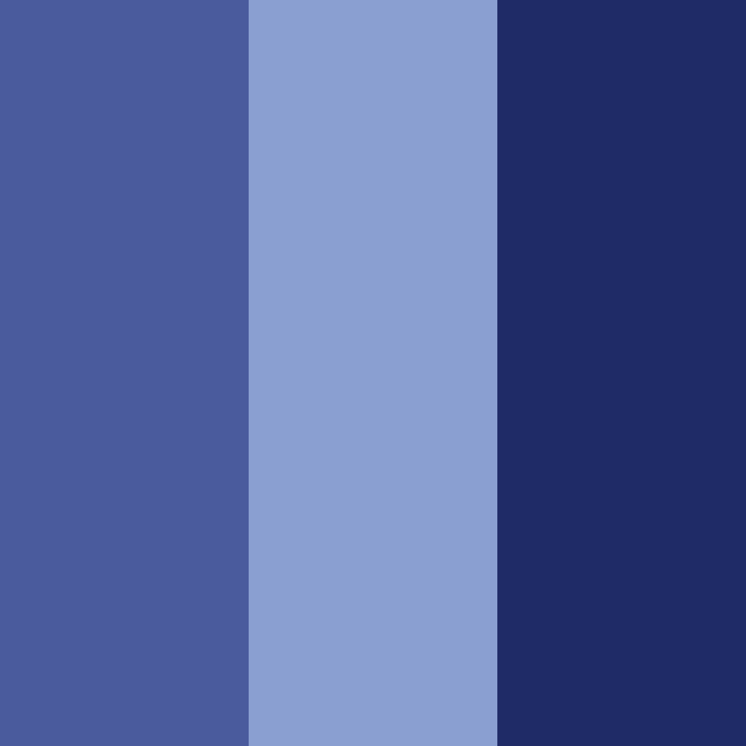 Download midnight horizon color palette PNG image (square)