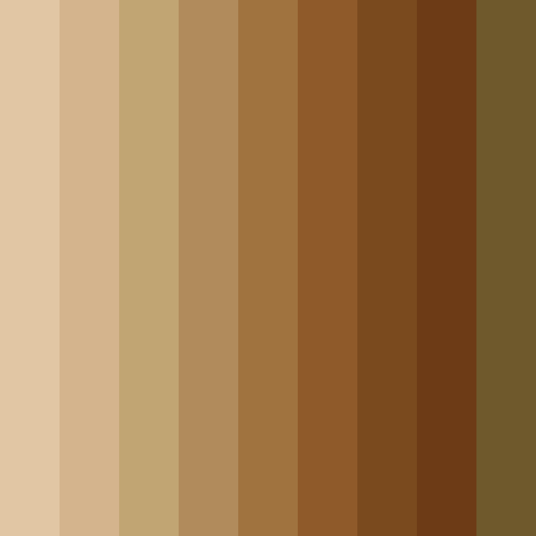 Download earthy elegance color palette PNG image (square)