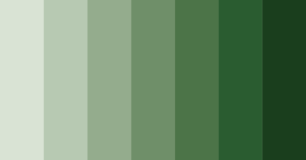 Download forest whisper color palette PNG image (landscape)