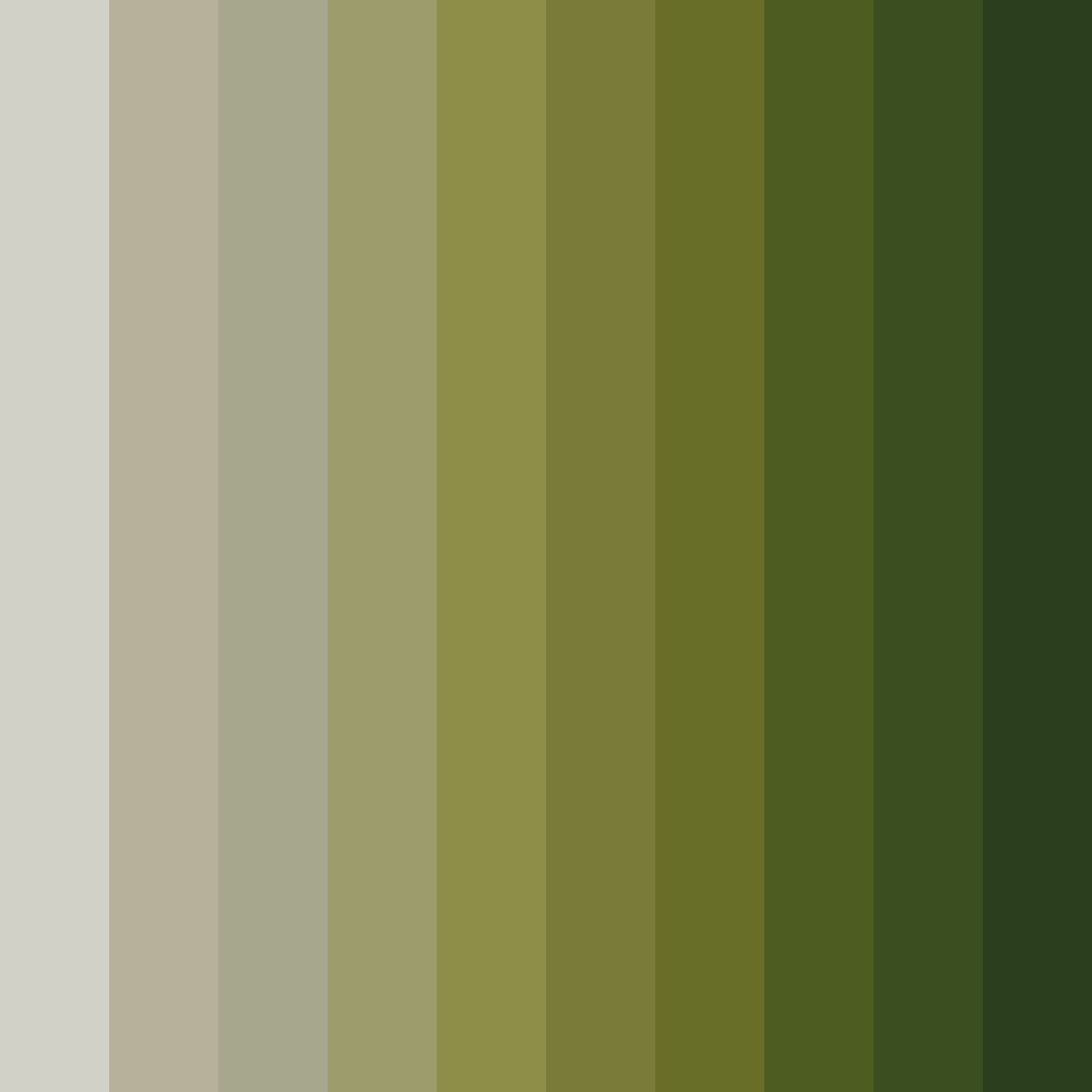 Download misty olive grove color palette PNG image (square)