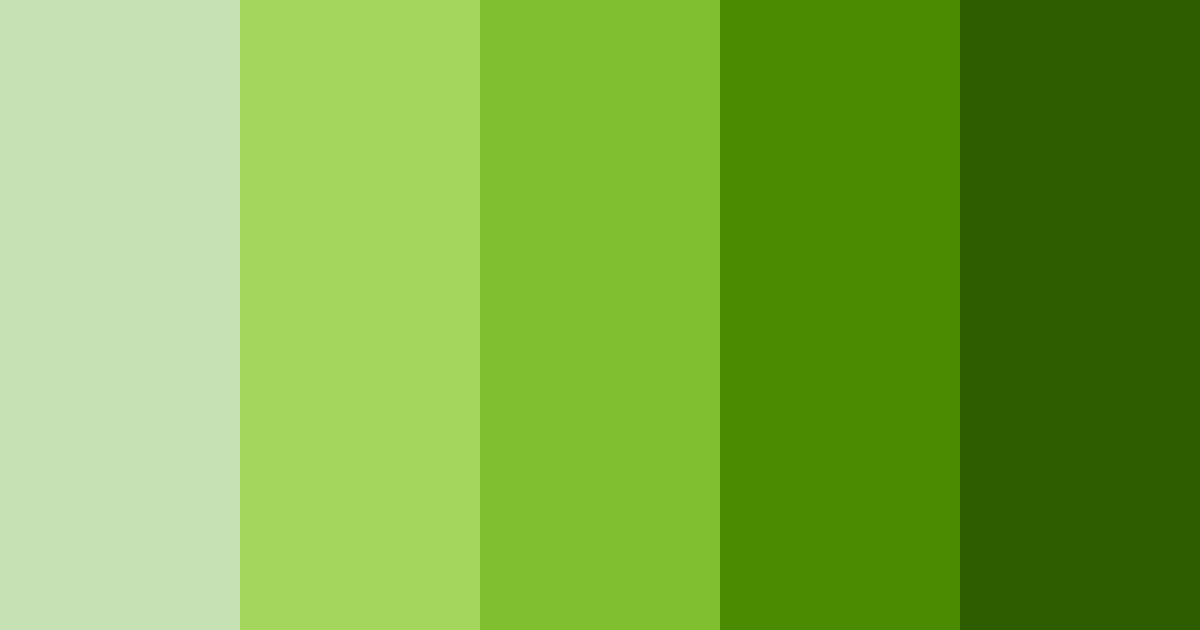 Download verdant canopy color palette PNG image (landscape)
