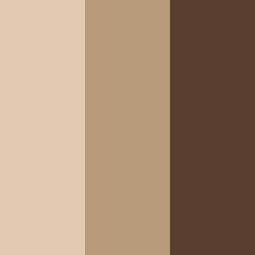 Download brown elegance color palette PNG image (square)