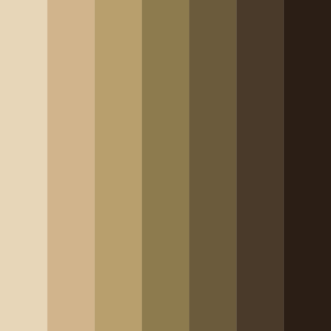 Download earthy brown color palette PNG image (square)