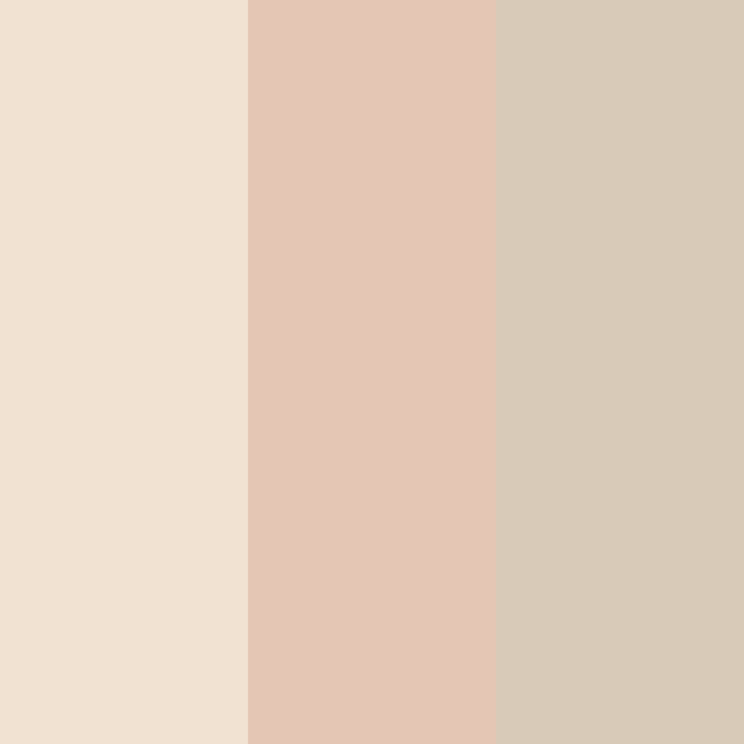 Download soft beige color palette PNG image (square)