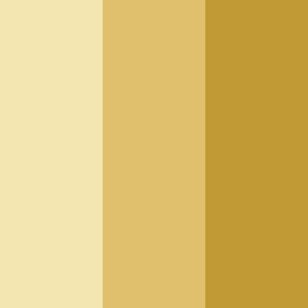 Download golden hues color palette PNG image (square)