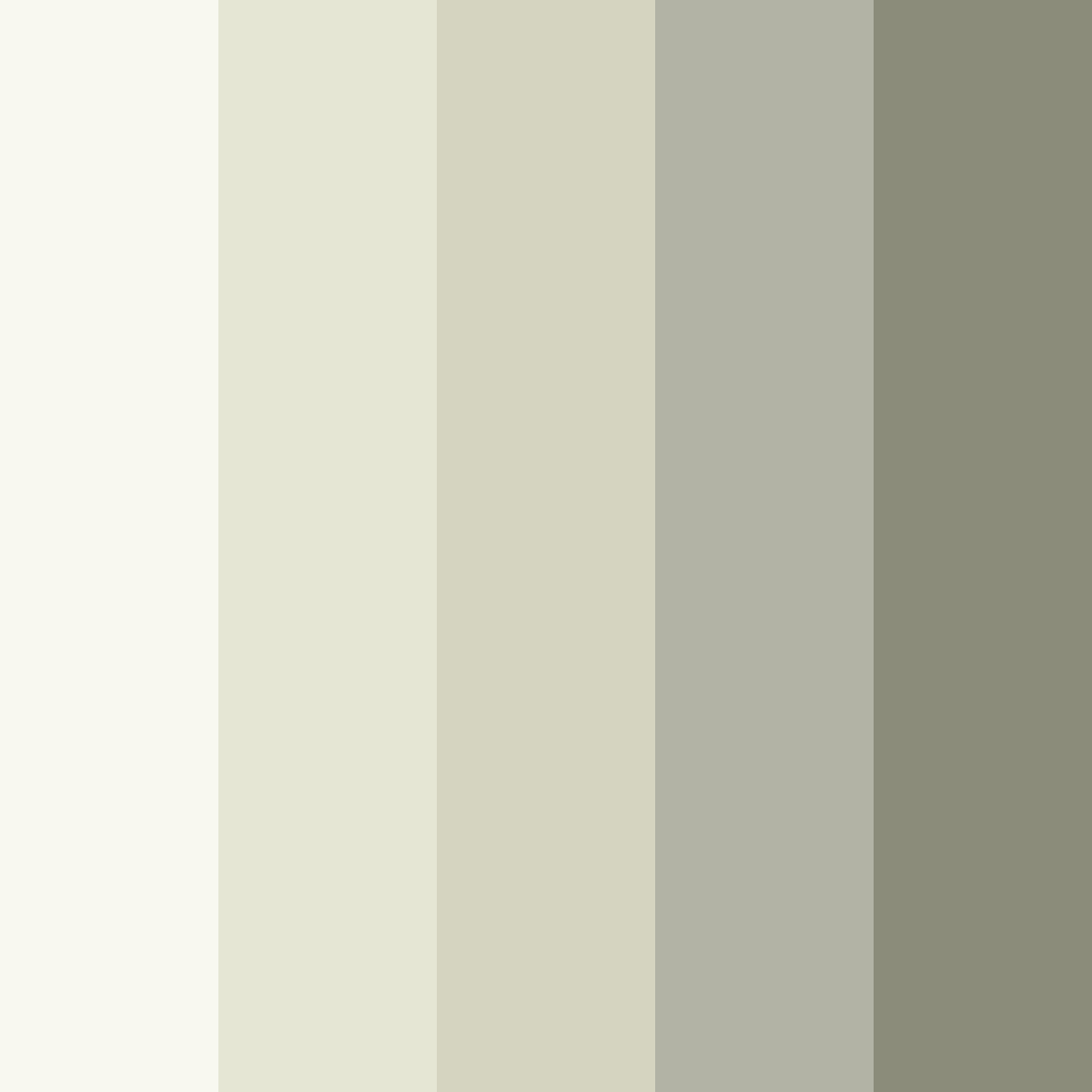 Download light off white color palette PNG image (square)