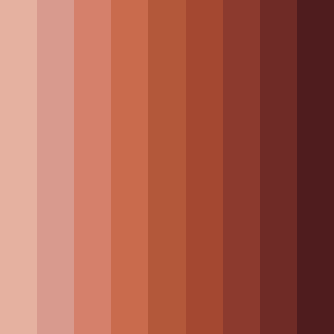 Download terracotta warmth color palette PNG image (square)