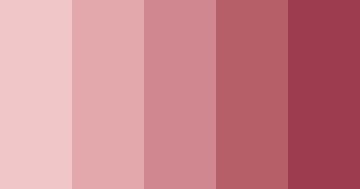 Download burnt rose shades color palette PNG image (landscape)