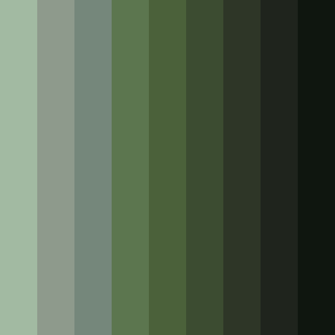 Download mossy woods color palette PNG image (square)