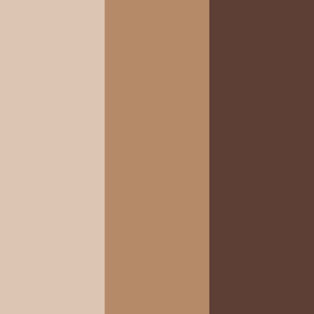 Download brown mocha color palette PNG image (square)