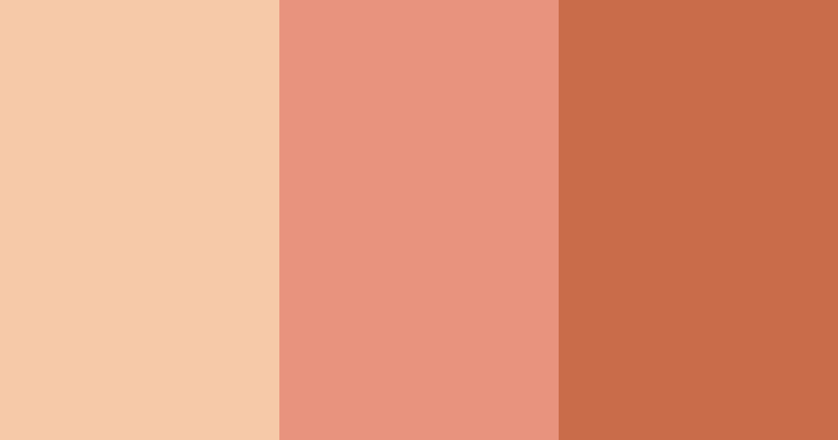 Download warm coral color palette PNG image (landscape)