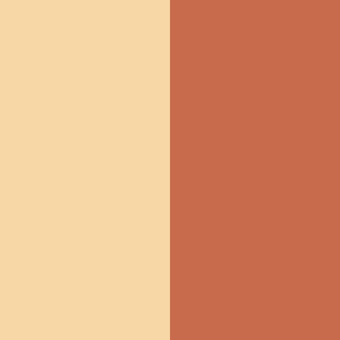Download peachy orange color palette PNG image (square)