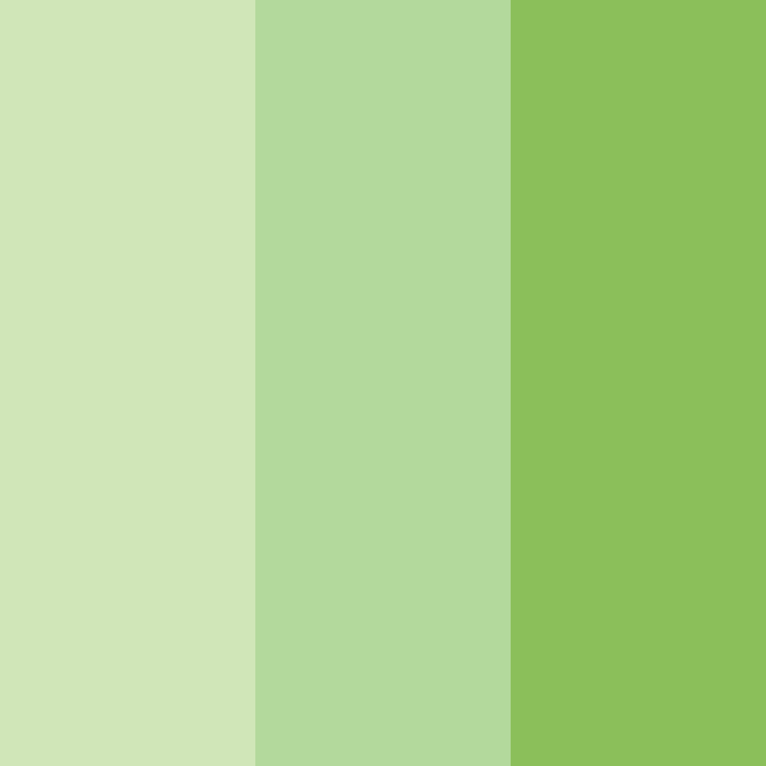 Download green matcha color palette PNG image (square)