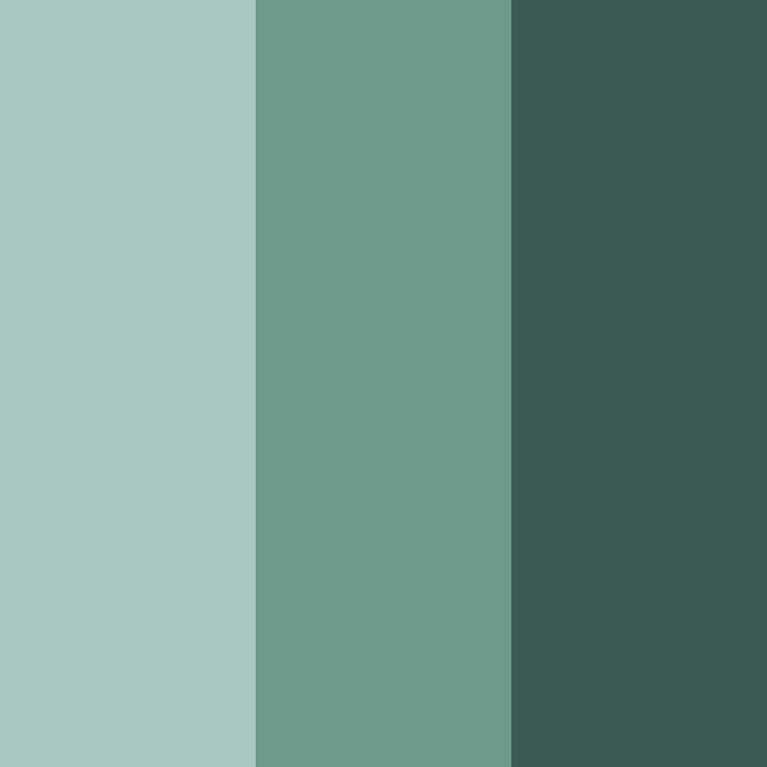 Download tranquil forest retreat color palette PNG image (square)