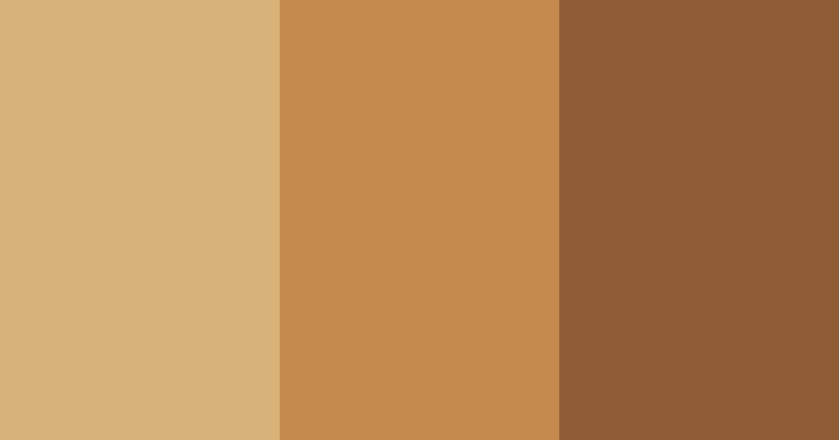 Download bronze elegance color palette PNG image (landscape)