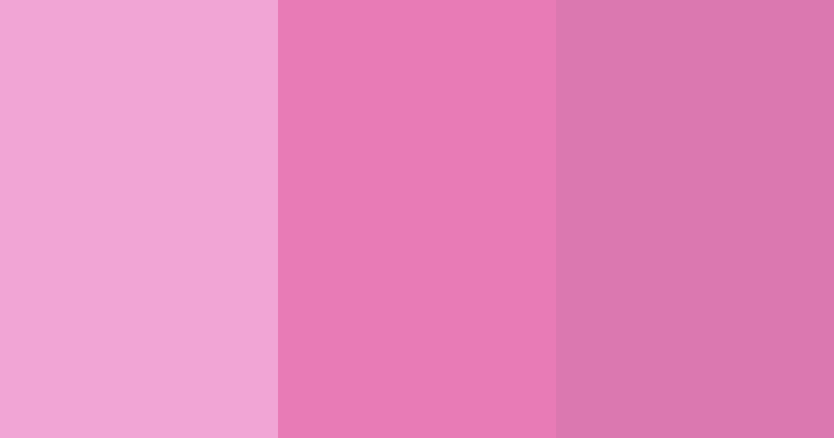 Download pink shades color palette PNG image (landscape)