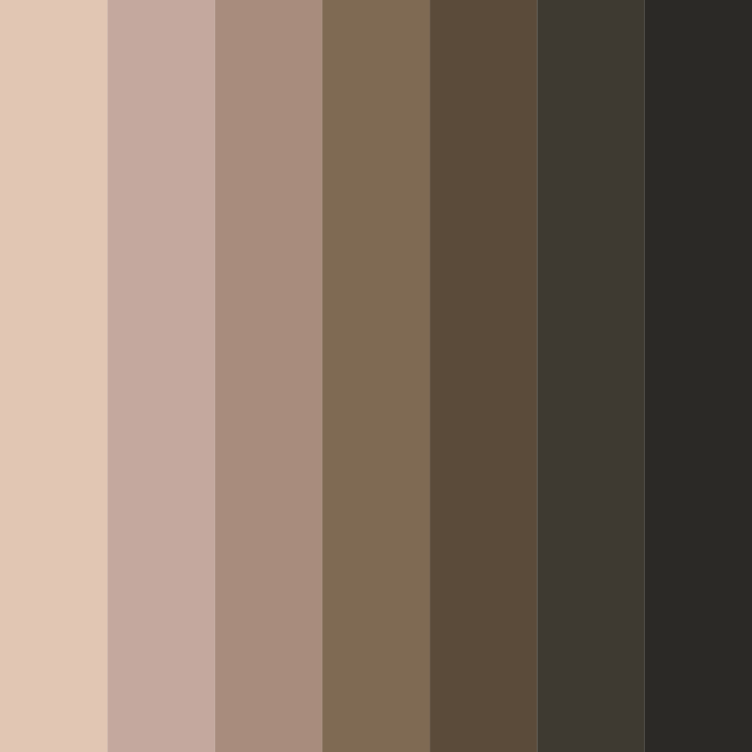 Download brewed elegance color palette PNG image (square)