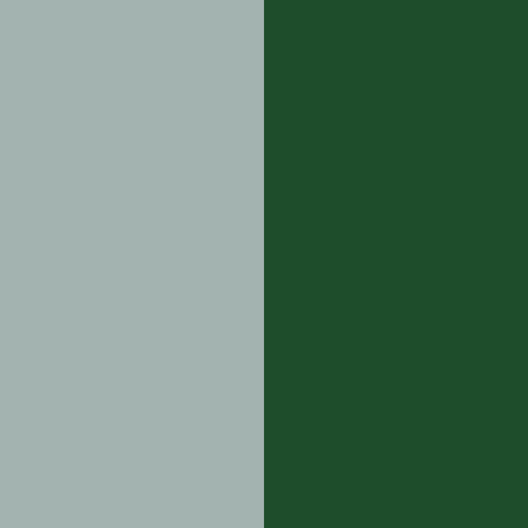 Download evergreen serenity color palette PNG image (square)