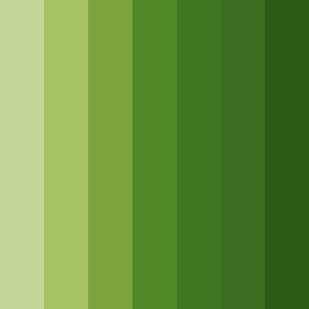 Download verdant insights color palette PNG image (square)