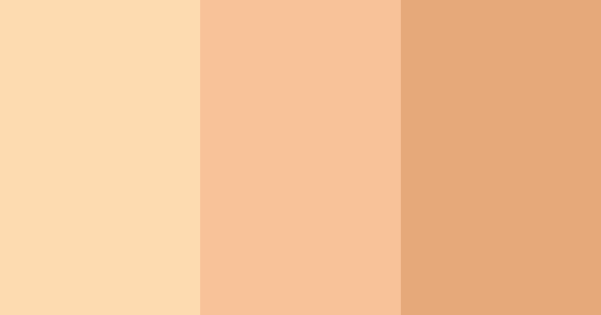 Download peachy skin color palette PNG image (landscape)