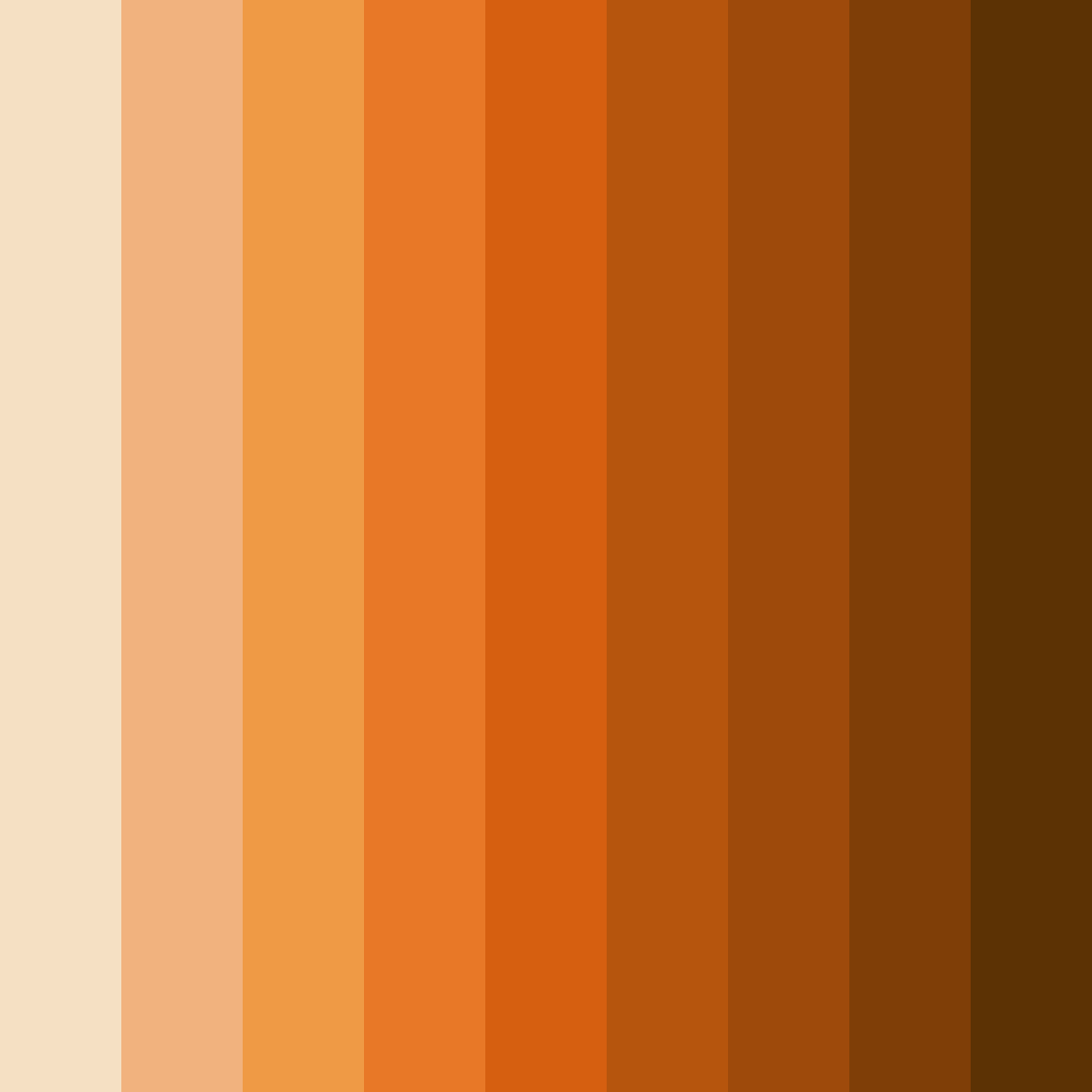 Download orange cat shades color palette PNG image (square)