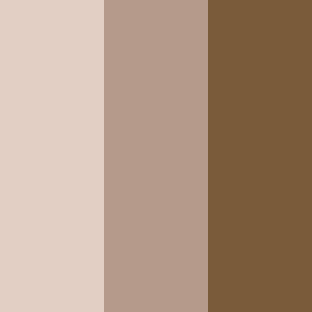 Download brown ground color palette PNG image (square)