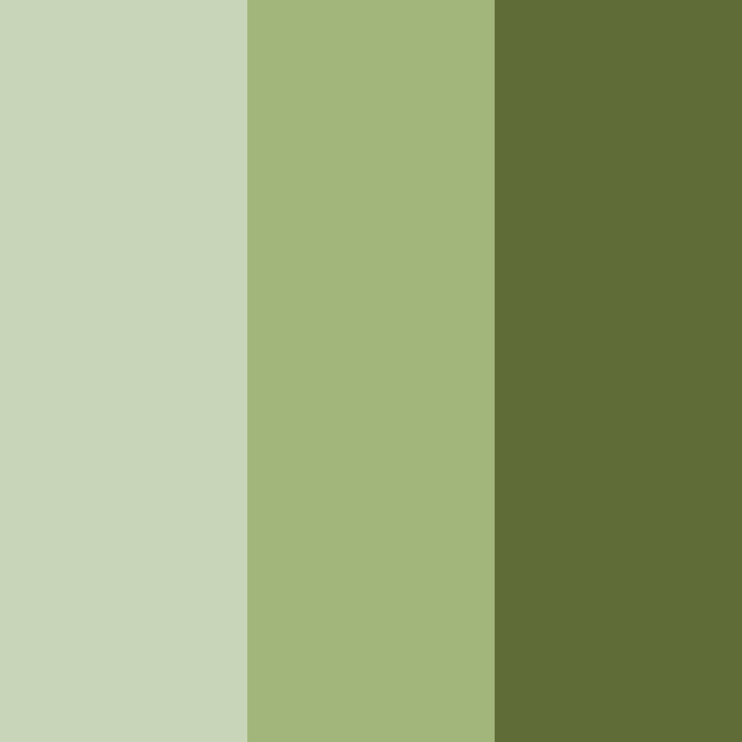 Download green earth color palette PNG image (square)