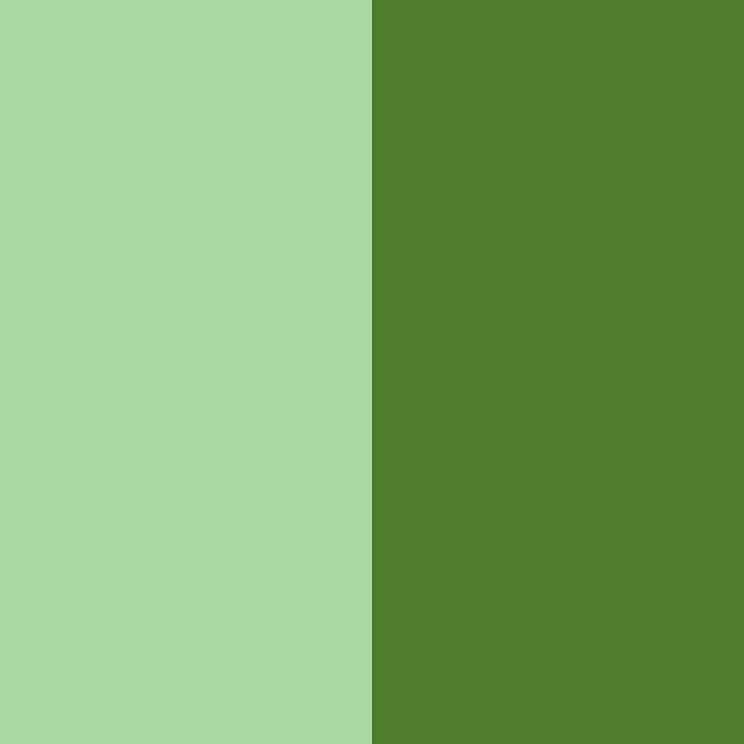 Download forest whisper color palette PNG image (square)