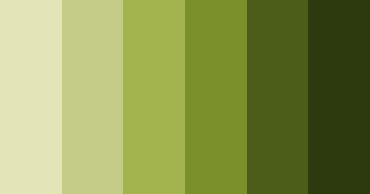 Download olive grove harmony color palette PNG image (landscape)
