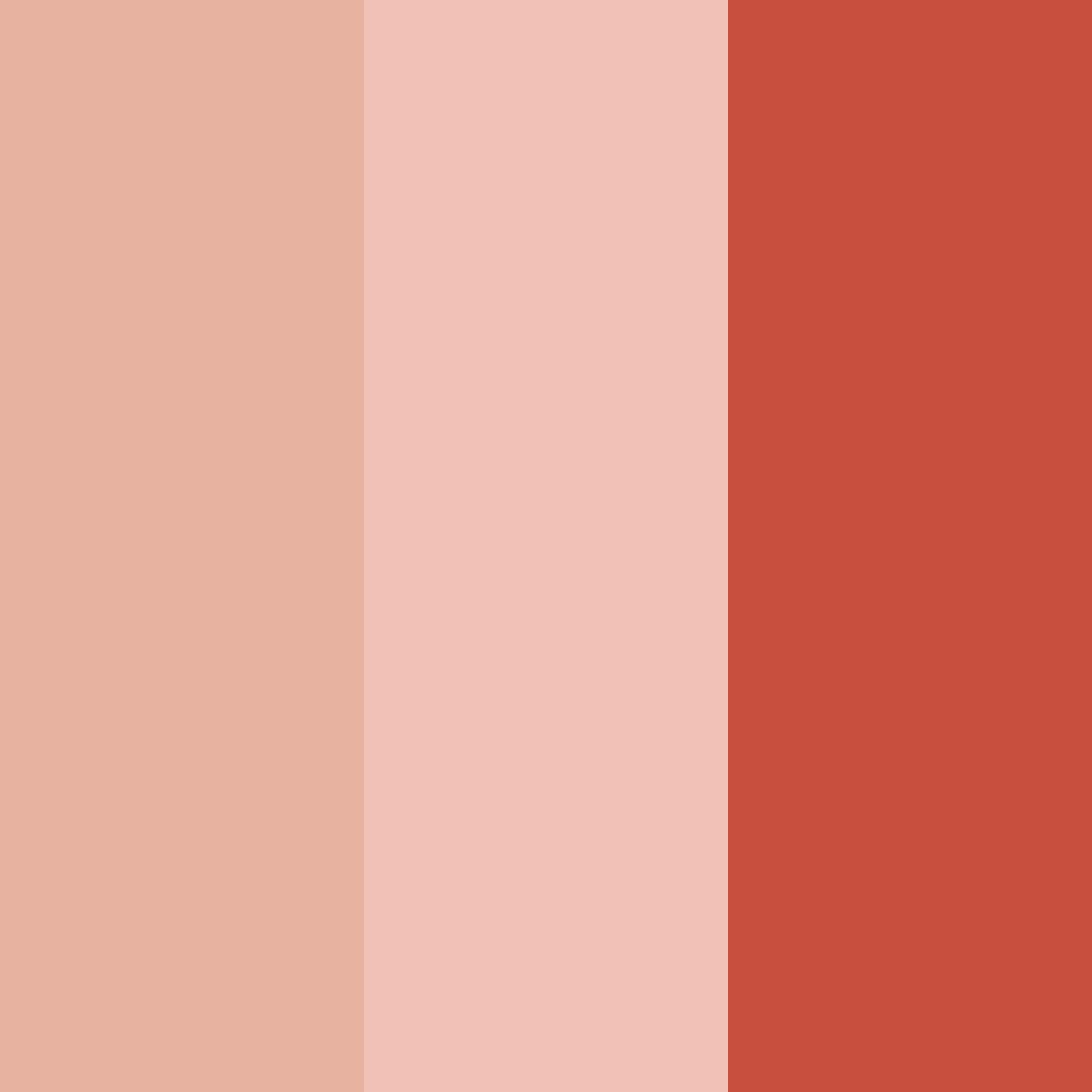 Download tropical sunset serenade color palette PNG image (square)