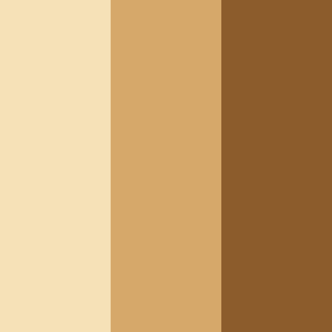 Download harvest harmony color palette PNG image (square)