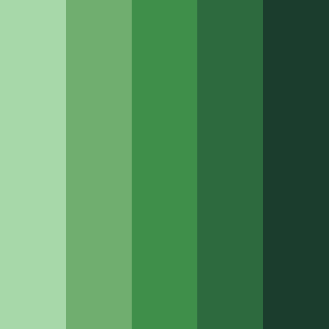 Download emerald wilderness color palette PNG image (square)